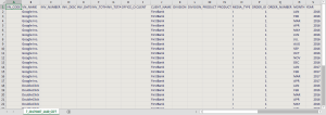 Excel file of a vendor order with Advantage